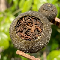 Thé Pu'er mûr impérial du Yunnan, 8 ans d'âge, Tianma, petite mandarine verte, vente en gros