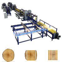 Twin <strong>Vertical</strong> Wood Resaw <strong>Band</strong> <strong>Saw</strong> for <strong>Hot</strong> <strong>Selling</strong>