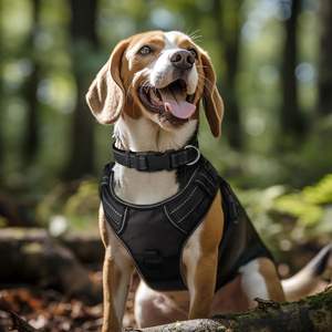 Collares de Tela de Neopreno Personalizados para Perro con Etiqueta, Hebilla de Gancho y Ajustables para Entrenamiento - Product Image 4