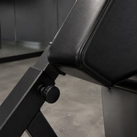 Chaise romaine commerciale pour la musculation, banc d'hyperextension pour la gym, banc d'extension dorsale avec barre de poignée réglable