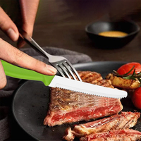 Ensemble de 6 couteaux à steak dentelés Modern Home, lame en acier inoxydable, manche en PP, design élégant, boîte de couleur, couverts