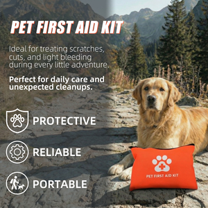 ערכות עזרה ראשונה של באייהנג להישרדות ובטיחות, ערכת עזרה ראשונה לרכב, ערכת עזרה ראשונה מיני, ערכות עזרה ראשונה בכמות גדולה - Product Image 5