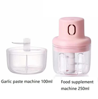 Nouveauté en promotion : Hachoir à ail électrique sans fil 100ml/250ml, hachoir à oignon portable pour la cuisine