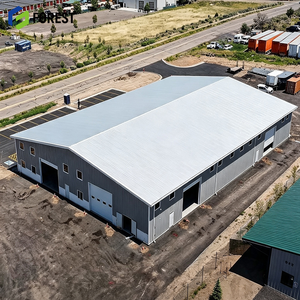 Estructura de Acero Seccional en H de Gran Envergadura para Almacenes Logísticos, Edificio Prefabricado de Carga Comercial de Alta Resistencia - Product Image 1