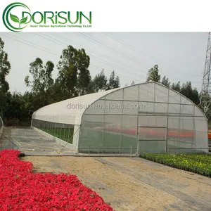 High Strength Commercial Agricultural And Farm Poly Tunnel Green House Plastic Film Cultivation Shed Tomato Greenhouse For Sale