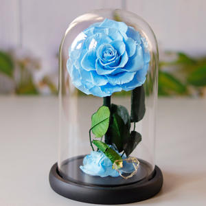Rosa Preservada del Principito en Cúpula de Cristal, Regalo para el Día de San Valentín, Decoración para el Hogar, Regalo para el Día de la Madre - Product Image 6