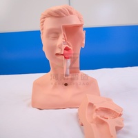 Modelo de Entrenamiento Avanzado en Aspiración de Esputo para Ciencias Médicas, Maniquí de Entrenamiento en Aspiración Traqueal