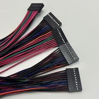 Kabel Jumper Dupont Panjang Kustom 5Pin 2x5 2x10 Kabel Konektor Warna Pita Kabel Harness Kustom