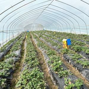 חממה חקלאית מסחרית גדולה, חד-מפתחית, עם מערכת אוורור, השקיה ואנרגיה סולארית - Product Image 6