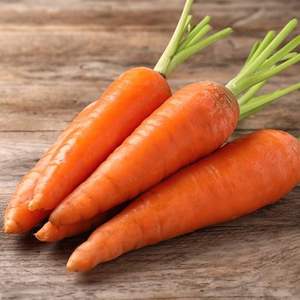 แครอทสดคุณภาพสูง วิตามินสูง ส้มสด เวียดนาม ขายส่ง ออร์แกนิก แช่เย็น สำหรับอุตสาหกรรมอาหาร ขนาด 10 ซม. S/M/L - Product Image 1