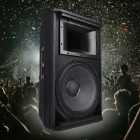 Haut-parleur professionnel plein spectre de 15 pouces pour extérieur, 550W-1100W, moniteur de scène/haut-parleur polyvalent