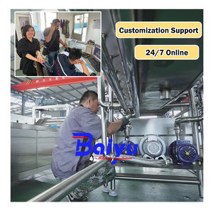 Máquina blanqueadora de frutas y verduras Baiyu, zanahorias/Carne de coco/champiñones, máquina blanqueadora continua de patatas y almendras - Product Image 4