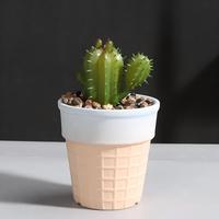 Pot de fleurs en céramique en forme de cornet de glace MSH, mini-jardinière pour succulentes et cactus
