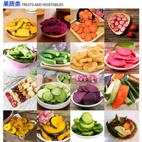 YouBan Automatische Vacuümfriteuse 304 RVS Lage Temperatuur Fruit- en Groentechips Okra Banaan Knapperige Snacks Machine