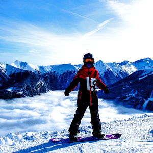 free ride snowboard good quality skiing skiboard snowboard