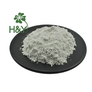 Prix de gros Suppléments à base de plantes Diosgénine Extrait de racine d'igname sauvage 40% Poudre de diosgénine - Product Image 2