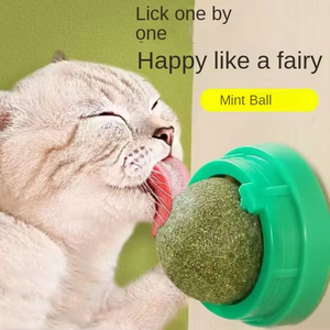 Bola de hierba gatera de plástico duradera y respetuosa con el medio ambiente, resistente a mordeduras de mascotas, limpieza de dientes molares, alivio del aburrimiento, autollamido para gatitos - Product Image 2