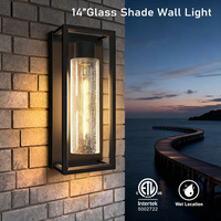 Lanterne murale durable toutes saisons de 14 pouces, étanche, avec douille E26/E27, pour patio ou balcon