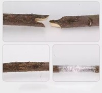 Outil de greffage de jardin K166-2, ciseaux à branches, ciseaux à vignes, ciseaux à fruits, sécateur, kit de greffage avec rubans de greffage