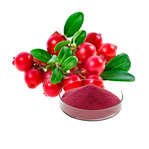 Polvo de extracto de arándano de alta calidad, extracto de fruta rico en antioxidantes, antocianidinas, 1kg, pedido mínimo, botella para el mantenimiento de la salud - Product Image 1
