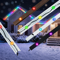 Lampu Natal Luar Ruangan IP68 Rgbw 12V 24V 36V Lampu Titik Permanen untuk Dekorasi Eksterior Rumah