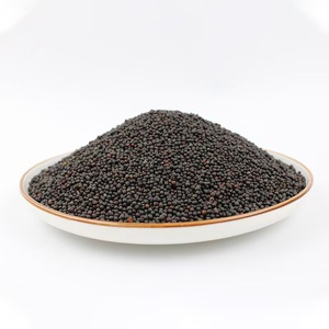Graines de <span class=keywords><strong>moutarde</strong></span> <span class=keywords><strong>noire</strong></span> et blanches à prix d'usine - Product Image 2