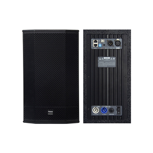 Thinuna T-12-DPA 싱글 12 "450 W 전문 오디오 시스템과 DSP 콘서트 무대 활성 양방향 전체 범위 스피커 - Product Image 2