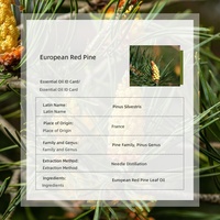 Minyak Esensial Pinus Skots Eropa Prancis Organik Distilasi 10ml Berkualitas Tinggi Bahan Baku Perawatan Kulit Aromaterapi Grosir