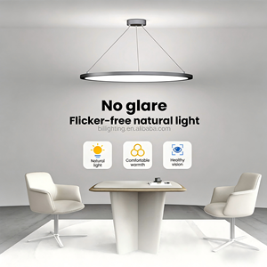 Modern LED Linear Hanging Lamp Ceiling Lighting Black <strong>Circle</strong> Chandelier Ring Pendant White Metal Shade Durable Pendant <strong>Light</strong> - Product Image 5
