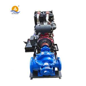 Pompa Centrifuga Orizzontale Monostadio a Doppia Aspirazione, a Risparmio Energetico e Resistente all'Usura, per Irrigazione - Product Image 6