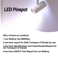 Grace dioperasikan baterai Pinspot nirkabel keren/hangat putih kendali jarak jauh magnetik LED Pin Spot