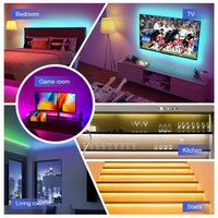 Lampu Strip LED Warna-warni Tuya Smart 20m dengan Remote Kontrol 24 Tombol USB 8mm Bodi Lampu PVC Hitam untuk Lanskap