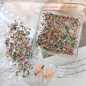 Décorations d'ongles en fleurs séchées véritables, accessoires de nail art DIY, fournitures de manucure pour salon, vente en gros - Product Image 2