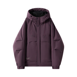 Veste à capuche personnalisée avec logo, nouvelle collection printemps-automne, tendance décontractée Joker, pour hommes et femmes, style cool et populaire. - Product Image 3