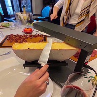 Fondeur de fromage électrique 750W, machine à faire fondre le fromage en demi-rondelle avec plaque à angle réglable pour restaurant et cuisine domestique