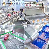 Automatische 1000kg/uur ui verwerkingslijn; efficiënte apparatuur voor het schillen, wassen en snijden van uien; ui productiemachine