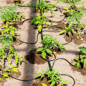 4 modes d'irrigation fractionnée : goutteurs droits, goutteurs à flèche courbée pour l'irrigation en serre - Product Image 6