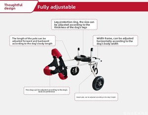Fauteuil roulant pour <span class=keywords><strong>chien</strong></span> à expédition rapide en gros pour pattes arrière, faible MOQ 1 unité, chariots de mobilité métalliques pour animaux de compagnie pour les marchés mondiaux - Product Image 5