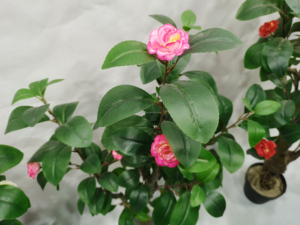 Piante finte realistiche piccola camelia rosa in vaso di seta in vaso Mini piante finte verde fiori artificiali albero per la decorazione domestica - Product Image 5