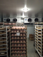 Congélateur de soufflage de stockage à froid pour la viande poulet congelé chambre froide Air Blast Walk in Cooler Chiller