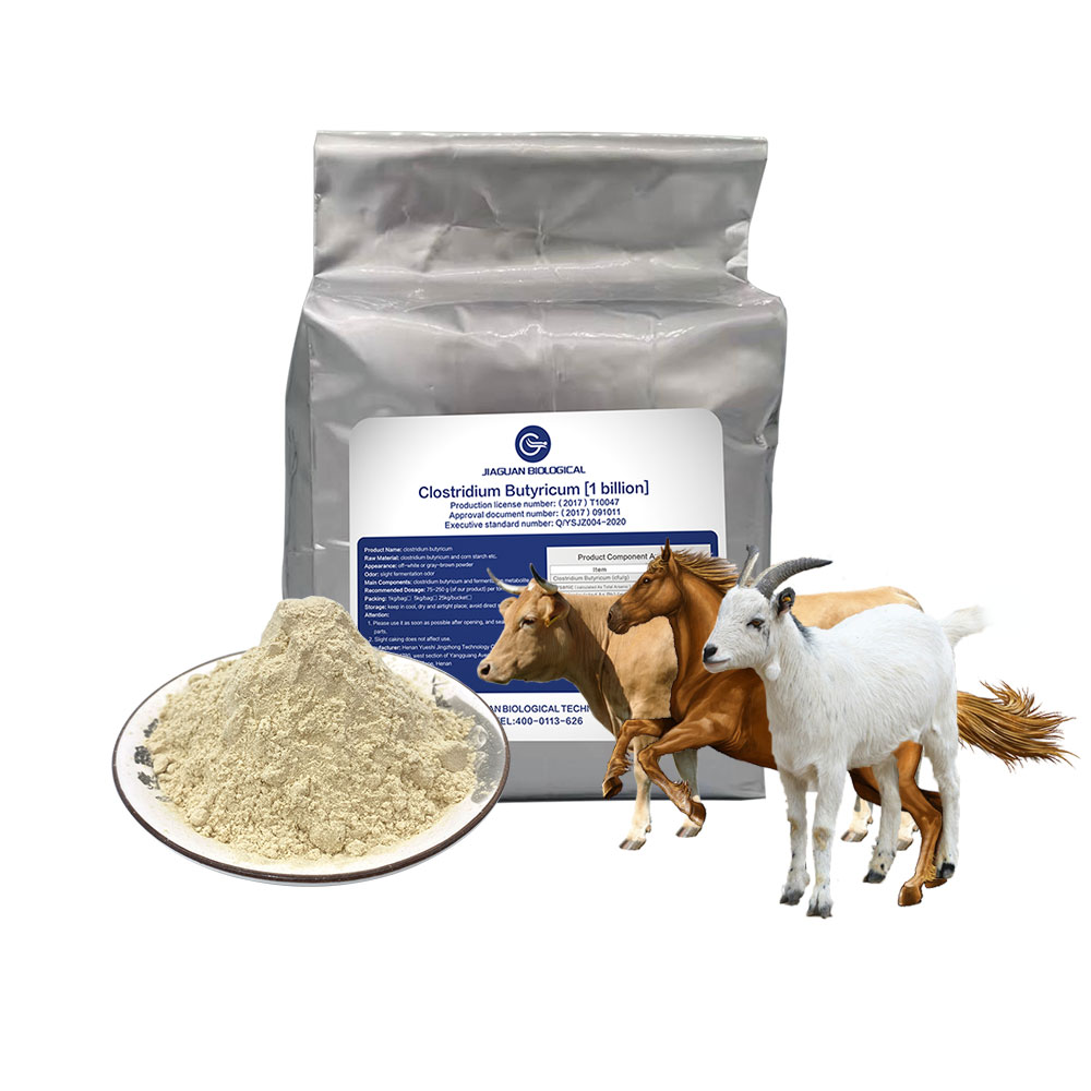 Заводская Прямая поставка, высококачественный питательный порошковый пробиотик, клостридиум бутирикум
