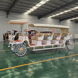 Electric Sightseeing Carriage Royal Wedding <b>Buggy</b> 4 Wheel Tourist Coach Canopy Event Shuttle - Product Image 4