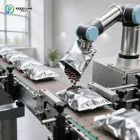 Machine à torréfier les grains de café 1 kg, machine à torréfier les grains de café et de cacao