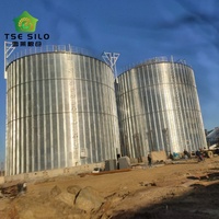 Düz Tabanlı Tahıl Depolama Çelik Silosu Büyük Tahıl Çiftlikleri ve İşleme Tesisleri için Tarım Ekipmanı 2000-20000 Ton