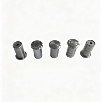 Boulon de fixation encastré au sol en laiton et acier inoxydable, finition chrome poli, anti-poussière, durable pour porte coulissante