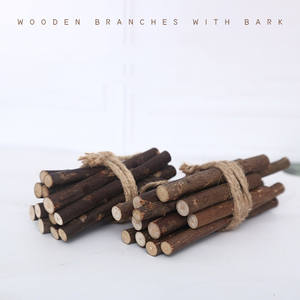ที่กำหนดเองไม้เนื้อแข็งติดธรรมชาติต้นไม้ขนาดเล็กสาขา DIY งานฝีมือไม้ตกแต่ง - Product Image 5