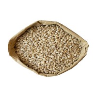Isolat de protéines d'extrait de graines d'orge de haute qualité 80% en poudre, non-OGM, végétalien, pour barres énergétiques de nutrition sportive, qualité alimentaire, en fût