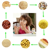 Extrudeuse de céréales de riz pour bébés CE Cerelac Machine à fabriquer des céréales pour bébés