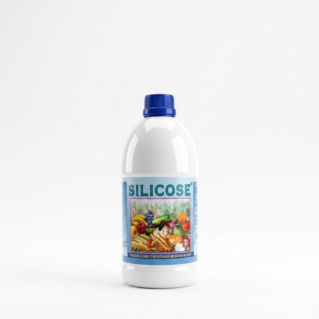 Silicosa, Elemento Essenziale per il Meccanismo Difensivo delle Colture, Nutriente Agricolo di Grado Professionale per Piante Più Forti****^^^^ https://www.siboasi.com