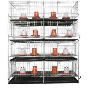 Sistema Automático de Jaulas Galvanizadas para Codornices, para una Cría de Aves de Corral Eficiente y una Alta Producción de Huevos - Product Image 2